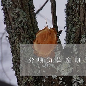 分期贷款逾期 利息 分期贷款逾期 利息